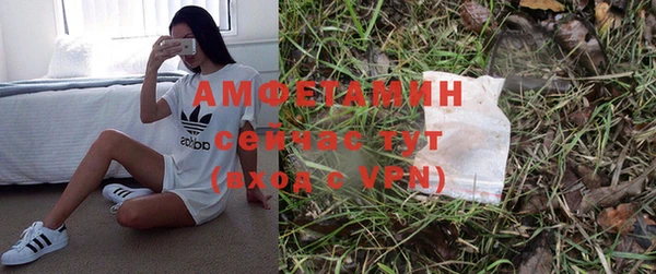 дмт Арсеньев