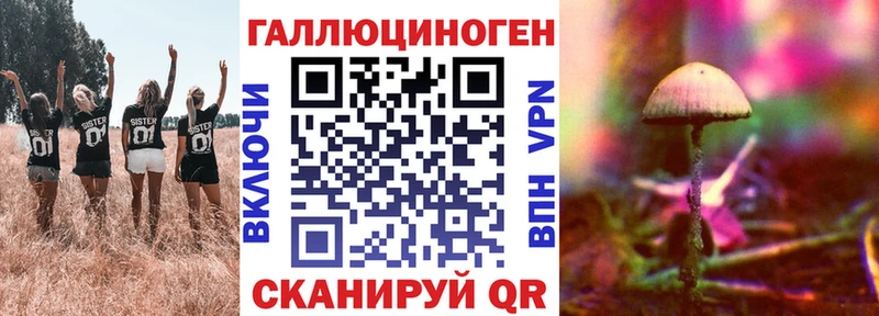 shop какой сайт Сясьстрой Галлюциногенные грибы MAGIC MUSHROOMS